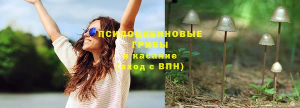 Альфа ПВП Алексин