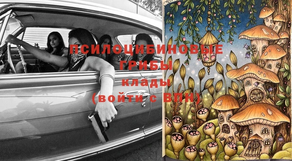 дживик Алзамай