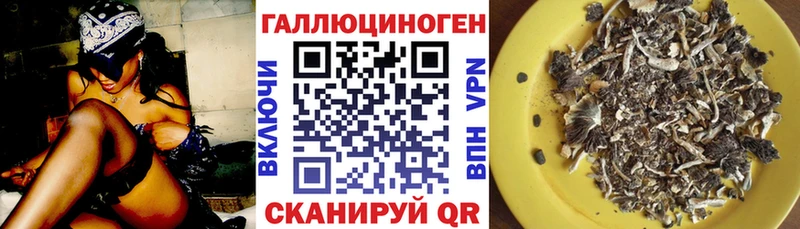 мега зеркало  цена наркотик  Владивосток  Псилоцибиновые грибы MAGIC MUSHROOMS 